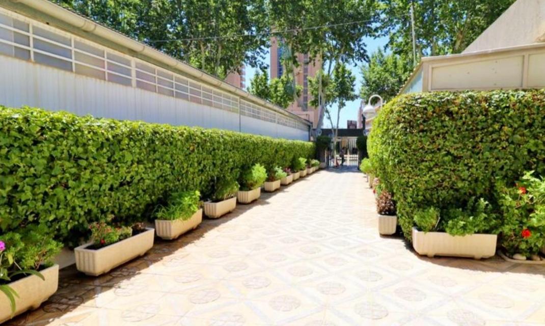 Ferienwohnung Cielo Benidorm Con Vistas Panoramicas Exterior foto